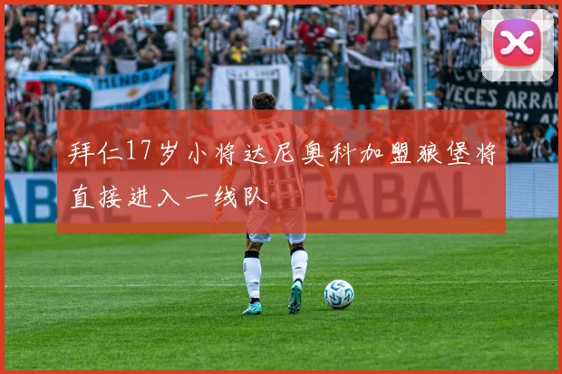 拜仁17岁小将达尼奥科加盟狼堡将直接进入一线队