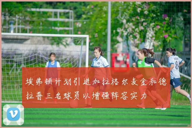 埃弗顿计划引进加拉格尔麦金和德拉普三名球员以增强阵容实力